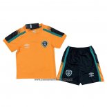 Camiseta Irlanda Segunda Nino 2021-22